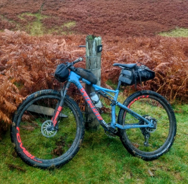 Specialized Epic Expert 29"