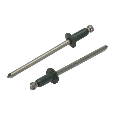 ISO15983 Rivetti A Strappo Testa Cilindrica 4.0x14 Inox A4 Con Chiodo Inox A4