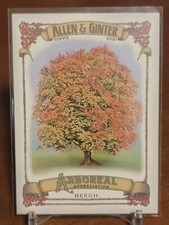 2021 Topps Allen & Ginter Arboreal Appreciation #AA-15 Beech
