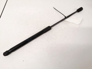 BMW X5 2011 Hood Support (strut front hood) 7148346, 51327148346 #1515672-39