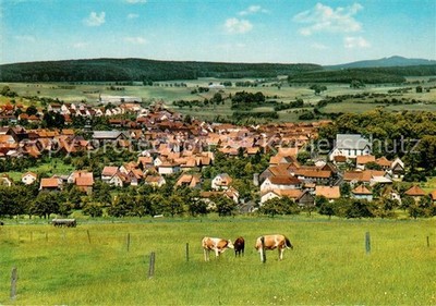 Gedern panoramic climatic health resort cattle pasture cows