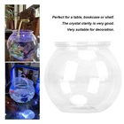 Gallon Transparent Fish Tank Durable For Desk Decor Recommended