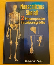 Bechtermünz Verlag Menschliches Skelett 2 Riesenposter