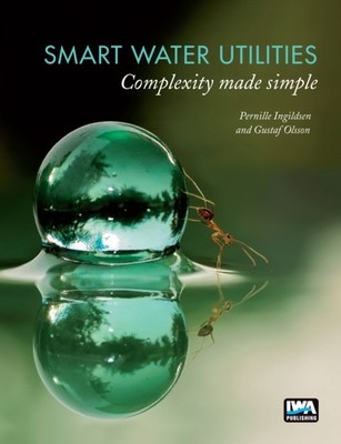 Smart Water Utilities: Complexity Made Simple by Pernille Ingildsen PAPERBACK