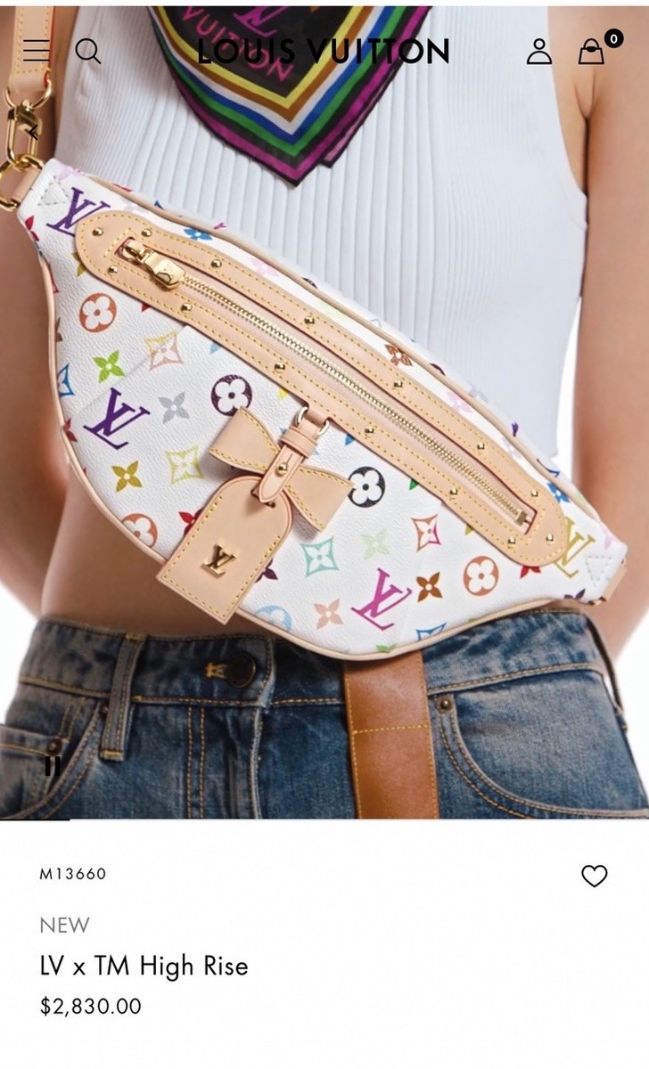 Louis Vuitton LV x TM High Rise Multicolor Monogram Belt Bag  display picture 1