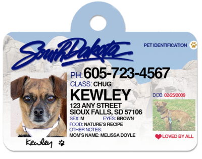 Dog Tag ID South Dakota Drivers License Personalize Customize Pet