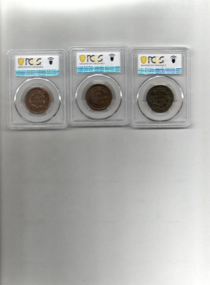 Lot Of 3 Large Cents 1856, 1843,1831 PCGS - Image 2 of 2