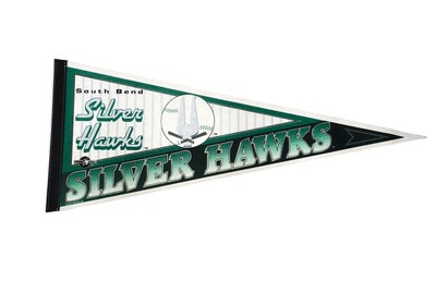 Silver Hawks South Wimpel Vintage 90 s Large MLB Wincraft 75CmX30Cm Baseball