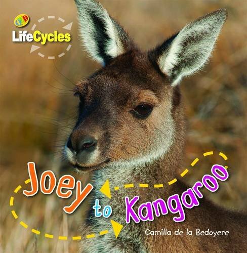 Joey to Kangeroo (Lifecycles) By Camilla de la Bedoyere