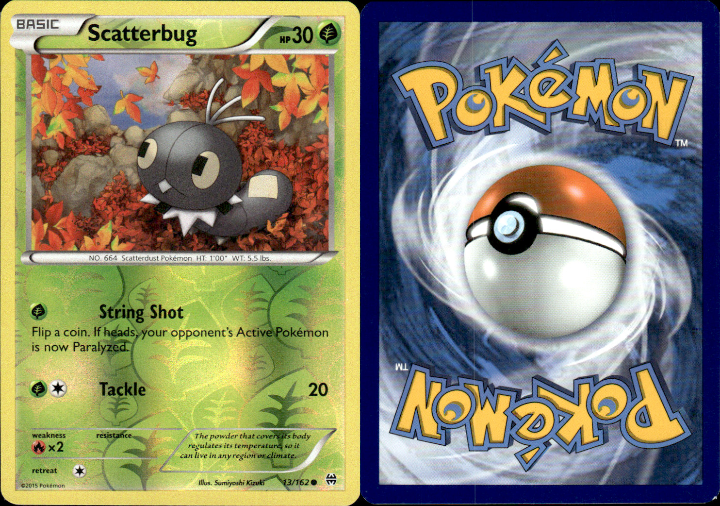 Scatterbug 13/162 XY Breakthrough Reverse Holo Pokemon Card Pokémon NM