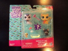 snowboarding kitty crew