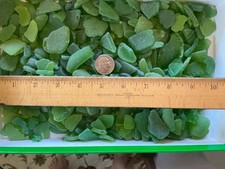 Famous El Morro Beach Chrystal Cove CA Surf- Tumbled Green Sea Glass  2 LBS