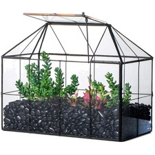 Geometric Glass Terrarium Display Case