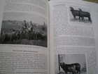 Foto 2 di 8