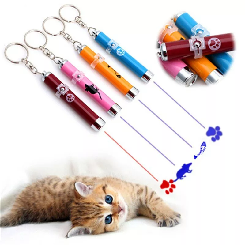 Fish pen 2025 for dogs