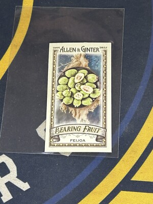 Feijoa Topps Bf-8 Allen Ginter Mini