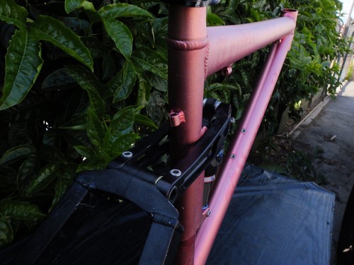 15.5" Ellsworth Truth MTB frame anodized pink w/ Float RP23, Salsa clamp - Picture 9 of 19
