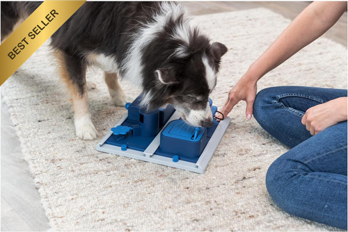 Poker Box 2 Level 3 Dog Puzzle Treat Toy for Small to Medium Dogs - Picture 2 of 12