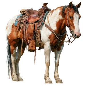 Horse Cowboy Self Adhesive Sticker