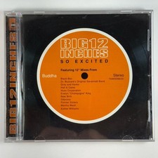 Big 12 Inches: So Excited by Various Artists (CD, May-1999, Buddha Records)