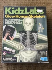 KIDZ LABS GLOW HUMAN SKELETON - KIDS HUMAN BODY SCIENCE & ACTIVITY KIT 4M TOYS