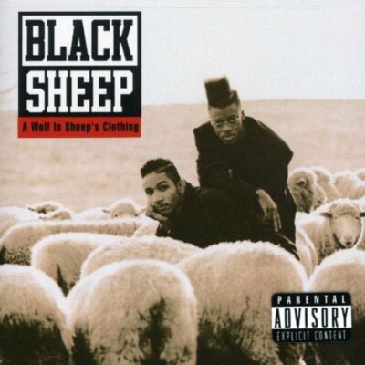A Wolf In Sheep's Clothing