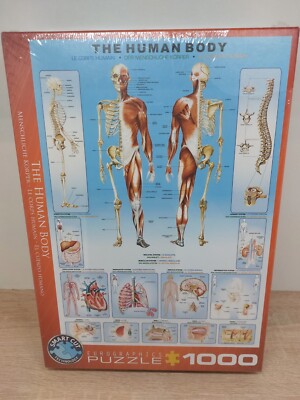 The Human Body   Puzzle / Deutsch / 2018 / Eurographics s.r.o