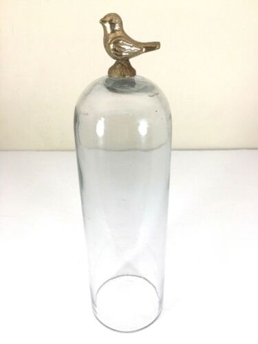 Vintage Glass Display Dome Cloche Metal Bird Brass Topper 9" Tall Antique