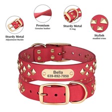 French Bulldog Dog Collars