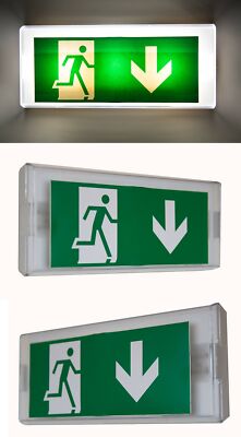 Dauerlicht Notleuchte Notbeleuchtung Exit Notausgang Fluchtwegleuchte Notlicht