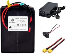 48V 20Ah Lithium Lifepo4 Rechargeable Battery With 40A BMS for Ebike Scooter