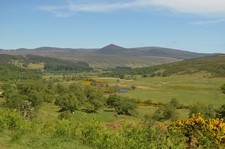 Photo 12x8 Strath Brora at Tormore, Sutherland Balnacoil/NC8011 View faci c2017