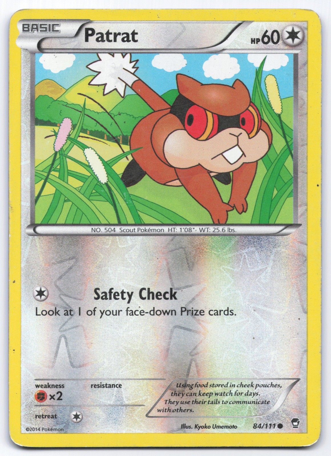 Patrat 84/111 XY - Furious Fists Holo Common Pokemon Card HP