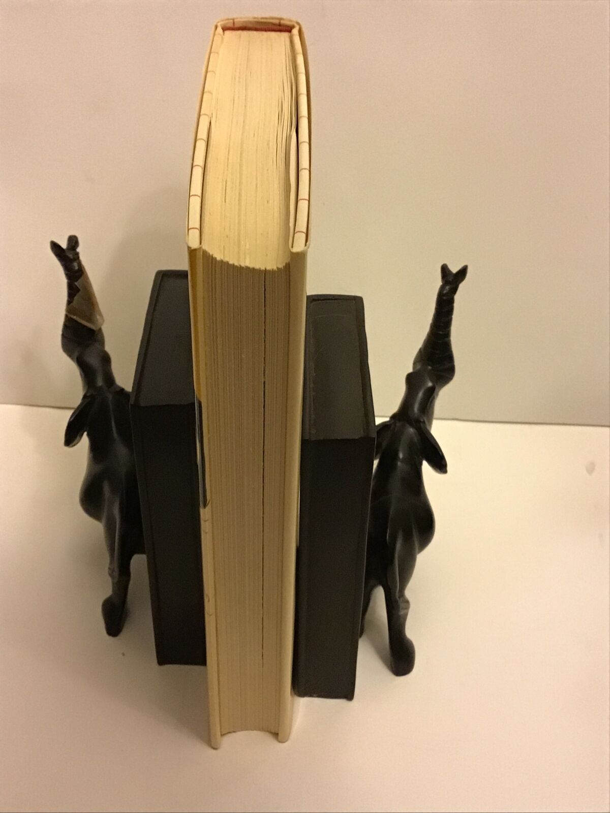 Foto 16 di 24