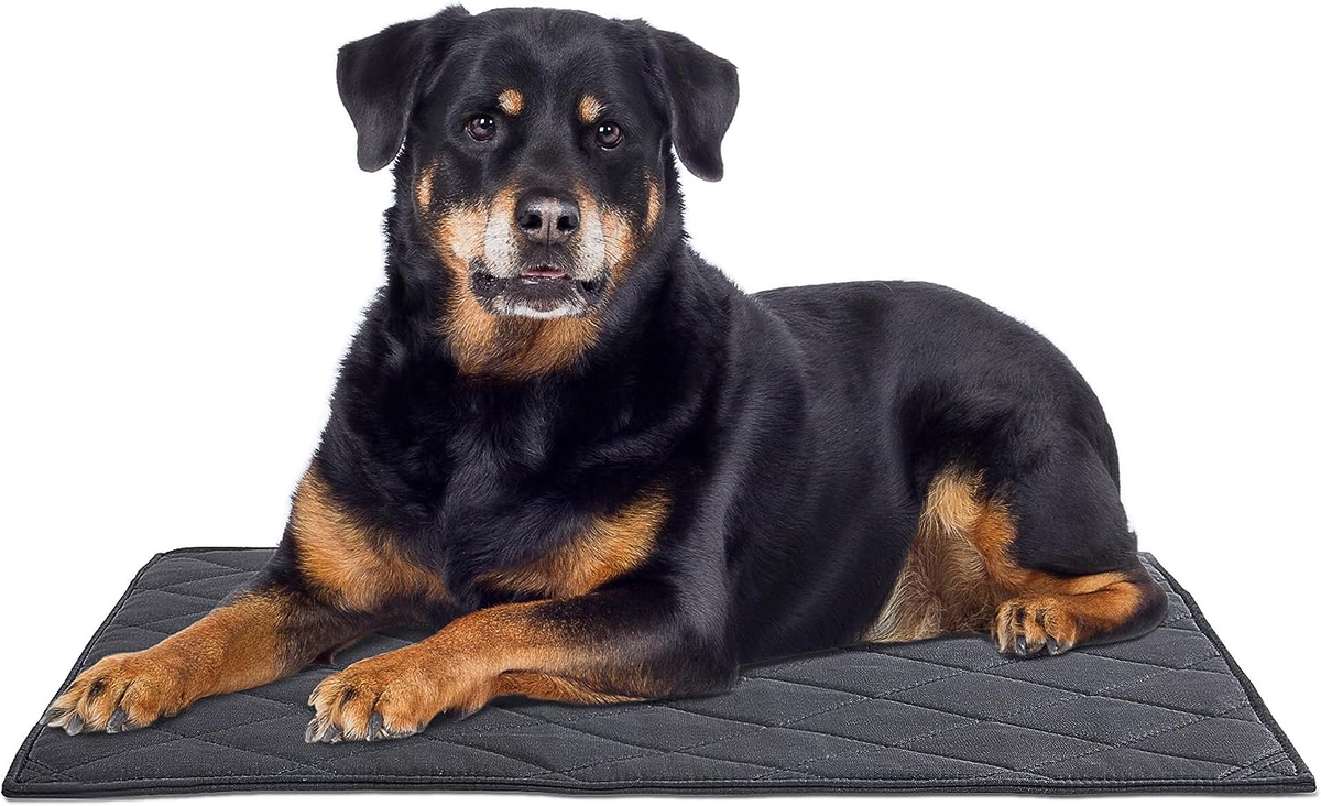 Durable Chew Proof Dog Bed, Tough Indestructible Dog Crate Mat for  Aggressive Ch