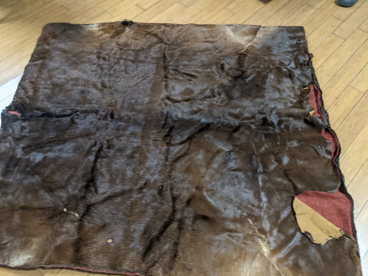 Authentic Antique 1800 1900 Horse Hide Sleigh/Carriage Blanket