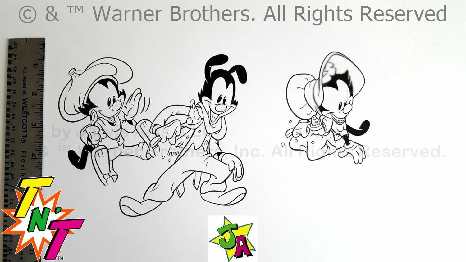 Picture 1