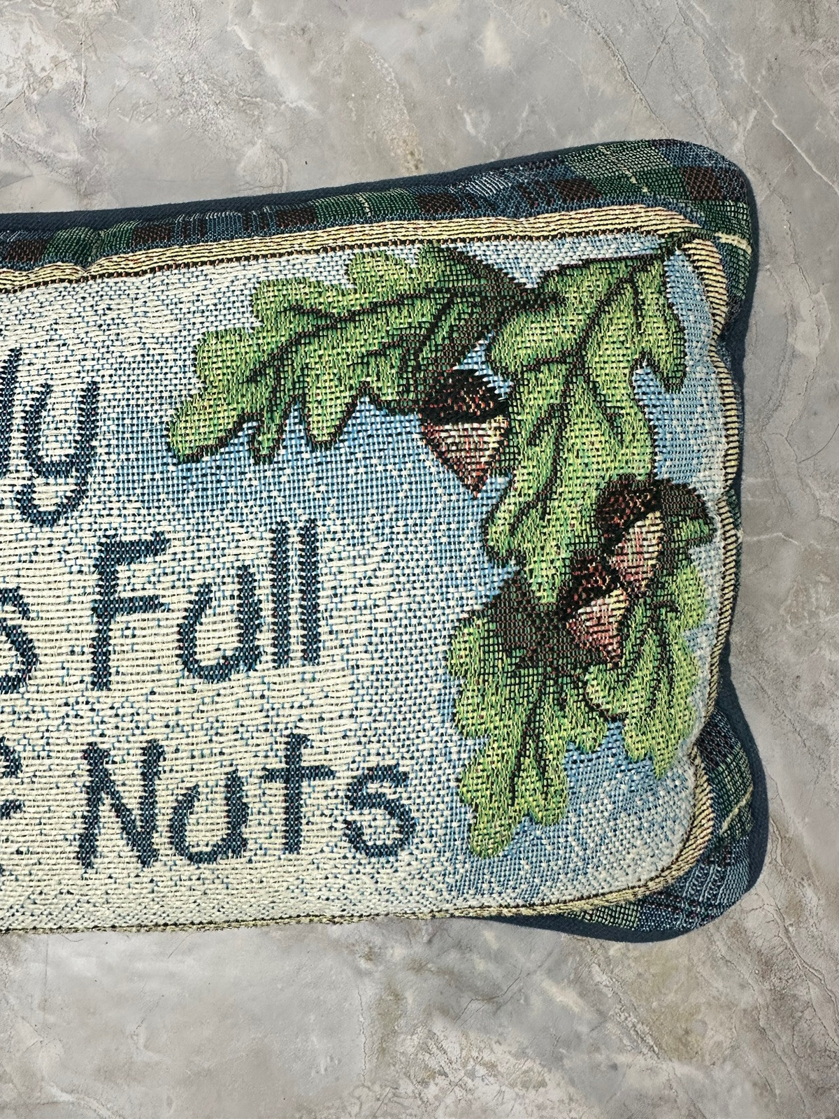 Decorative Accent Pillow  My Family Tree is Full of Nuts