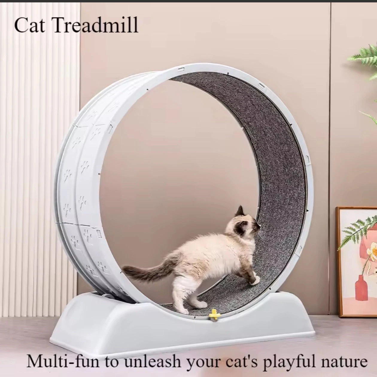 Cat Exercise Wheel XL Cat Treadmill / Cat Running Wheel Pet Wheel NEW