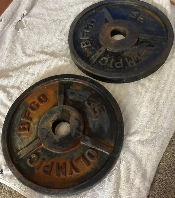 45lbs Weight Plate Buy Signature Fitness Cast Iron Olympic 2-Inch