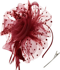 DRESHOW Fascinators Hat Flower Mesh Ribbons Feathers on a Headband and a Clip Te