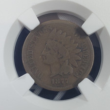  on The Hot Collector