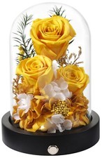 Preserved Roses Flowers in Glass Dome, Long-Lasting Real Yellow Forever Roses...