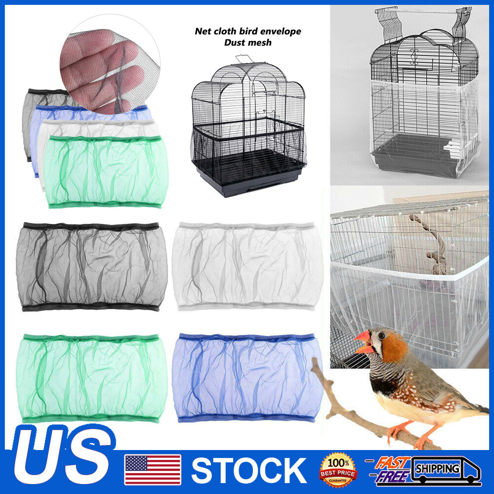 cleaning parrot cage