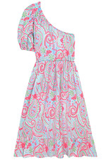 Women's Dress - Pink Green Paisley Printed Dress - Maxi Dress - XL - Cotton