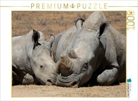 Calvendo Puzzle Rhinoceroses – Cuddle Time | 1000 Pieces, Finished Size 25.2 × 1