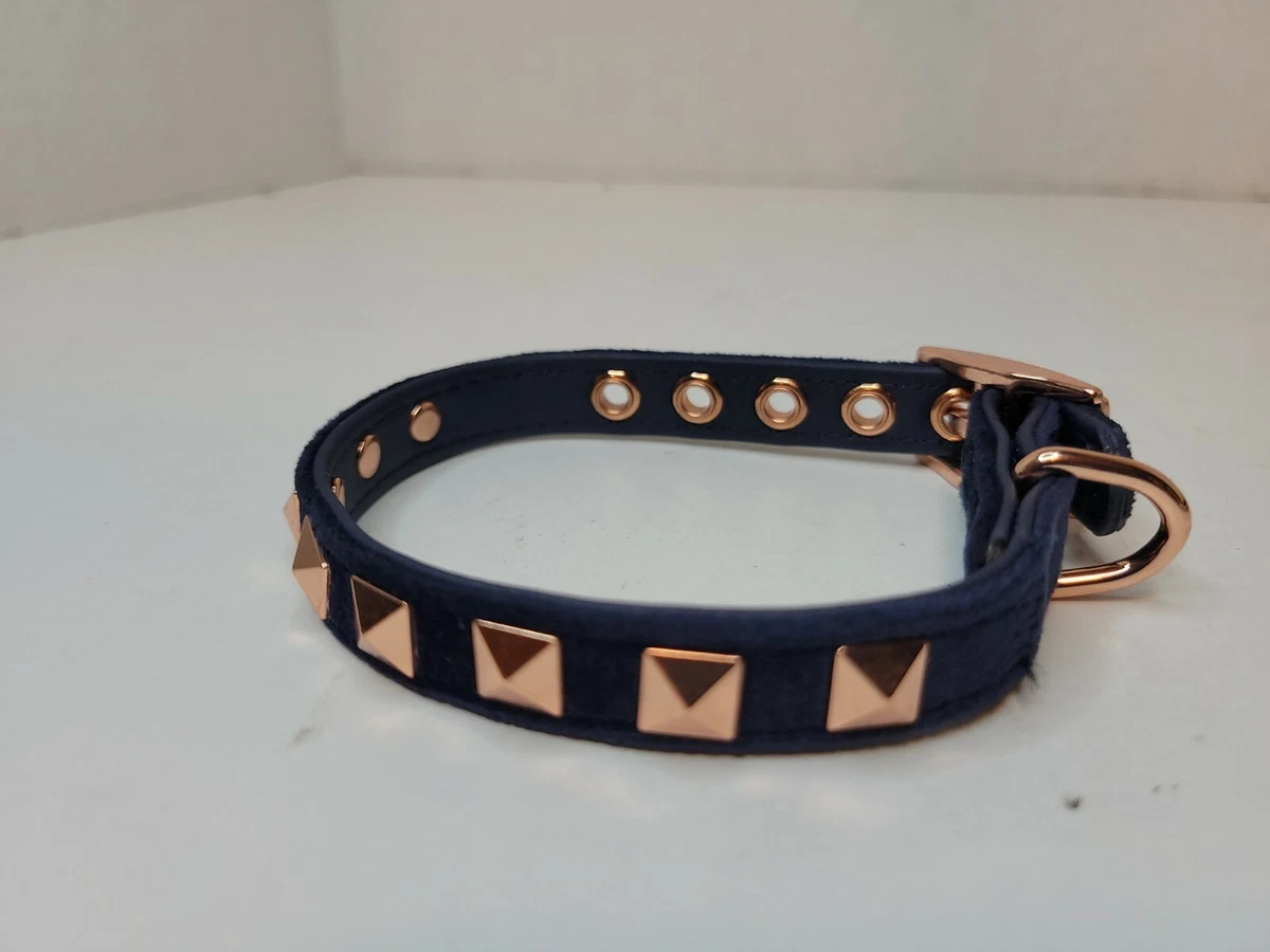 Bond Co. Blue Velvet and Rose Gold Dog Collar Extra Extra Small