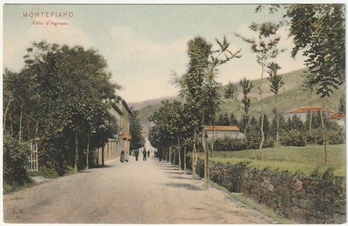 MONTEPIANO - PRATO - VIALE D'INGRESSO -44476-