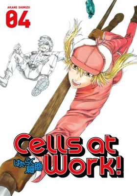 Cells At Work! 4 by Akane Shimizu PAPERBACK 9781632363916