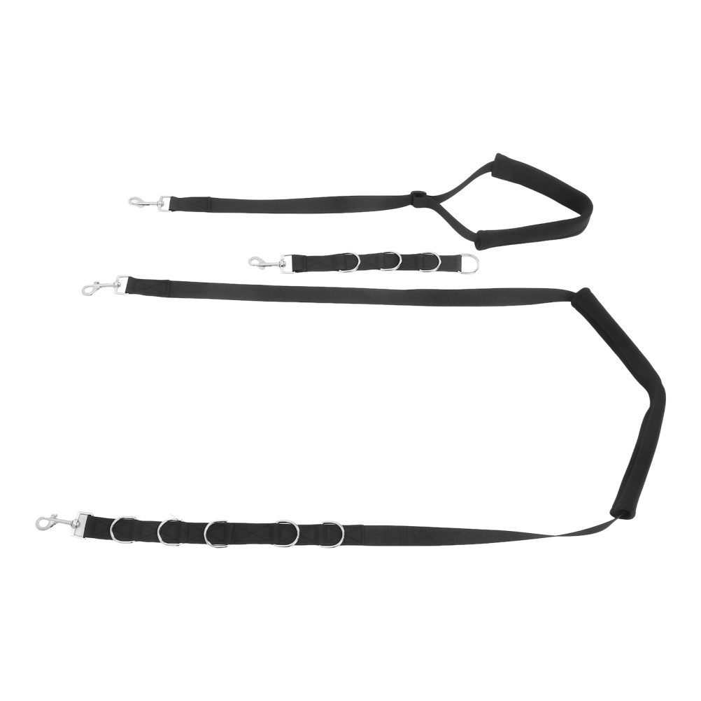 Set di accessori per toelettatura cani foto 5